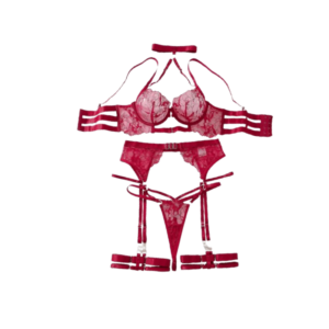 Lace Set Underwire with Collar and Garters